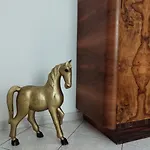 Salita Metello *